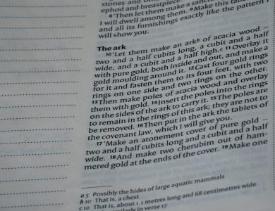 Text from a book detailing the ark's construction.