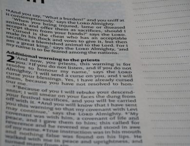 a close up of a page of a book