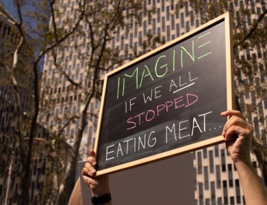 imagine if we all stopped eating meat signage